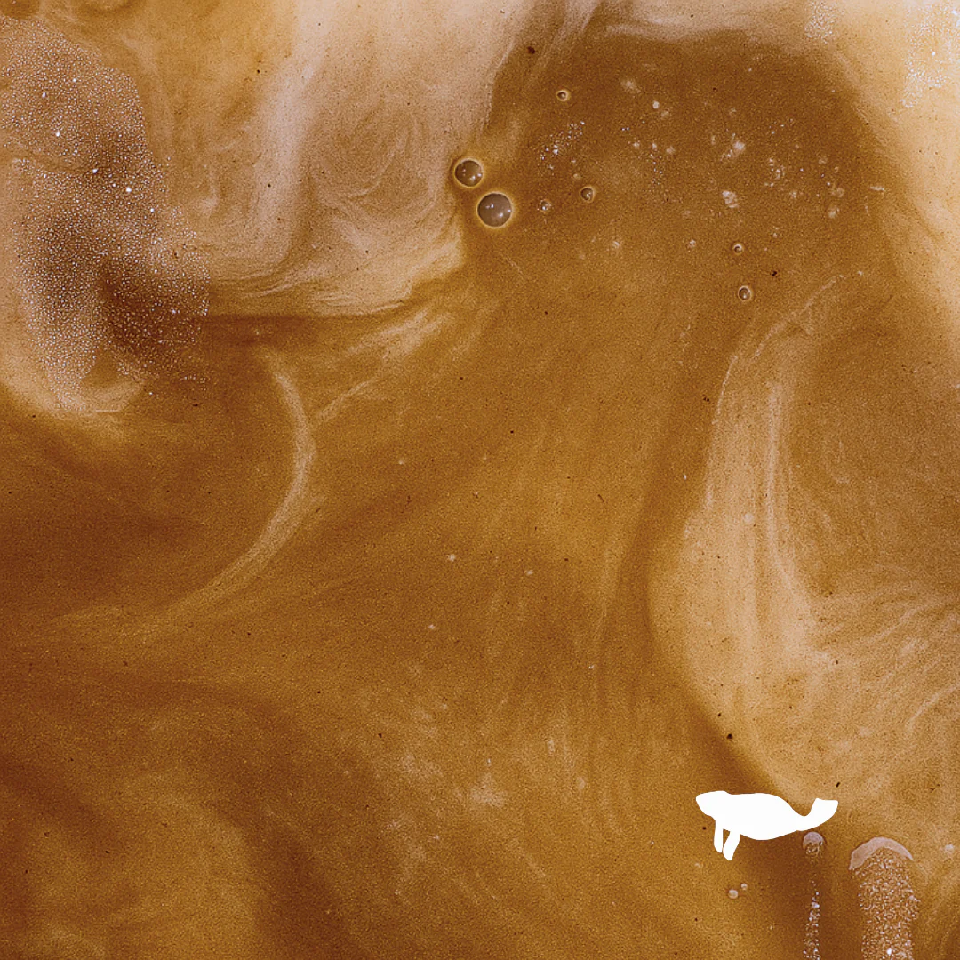 Hojicha (250g) - Image 4