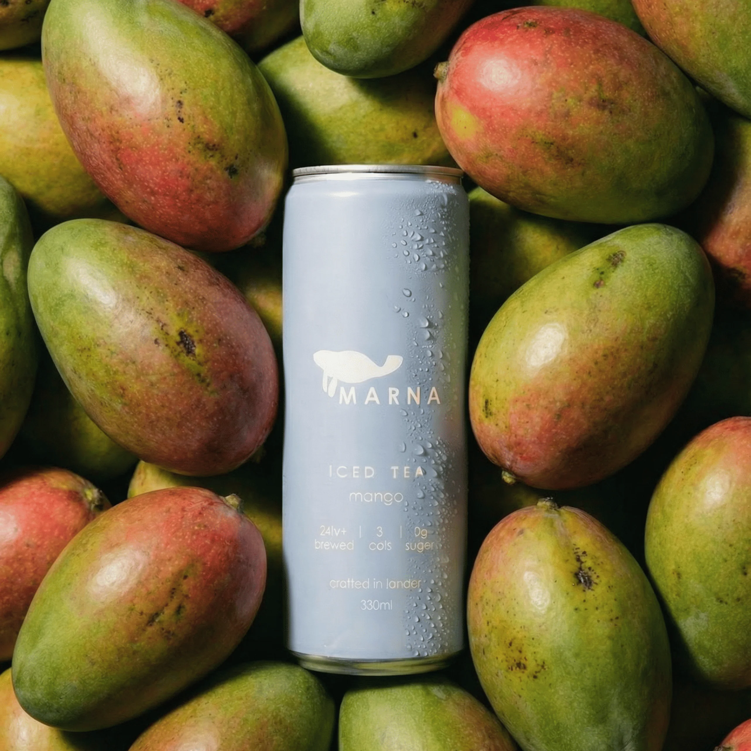 Mango Iced Tea - Image 3